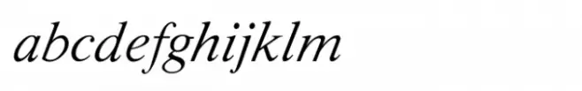 Shree Devanagari 3539 Italic