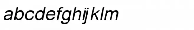 Shree Devanagari 3576 Bold Italic