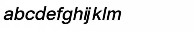 Shree Devanagari 3588 Bold Italic
