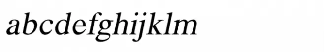 Shree Devanagari 3609 Italic