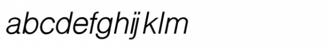Shree Devanagari 3619 Italic