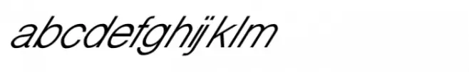 Shree Devanagari 3686 Italic