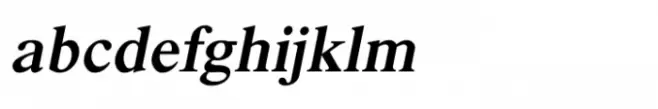 Shree Devanagari 4500 Italic