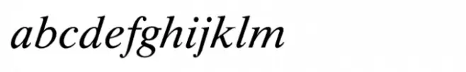 Shree Devanagari 4556 Italic