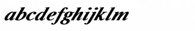 Shree Devanagari 4557 Italic