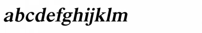 Shree Devanagari 4585 Italic