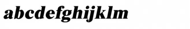 Shree Devanagari 4586 Italic
