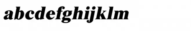 Shree Gujarati 1113 Italic