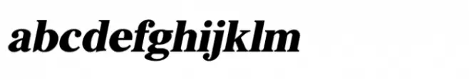 Shree Gujarati 1117 Italic