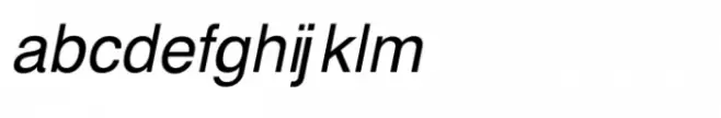 Shree Gujarati 1170 Italic