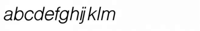 Shree Gujarati 2543 Italic