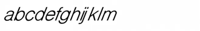 Shree Gujarati 2545 Italic