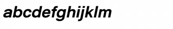 Shree Gujarati 2576 Italic
