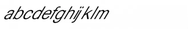 Shree Gujarati 2599 Italic