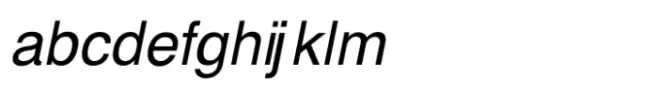 Shree Punjabi 0951 Bold Italic