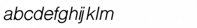 Shree Punjabi 0951 Italic
