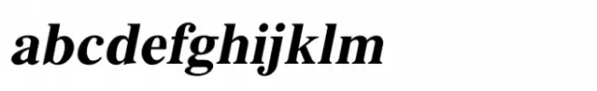 Shree Punjabi 1760 Italic