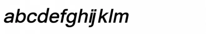 Shree Punjabi 1766 Bold Italic