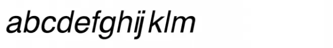 Shree Punjabi 3101 Italic