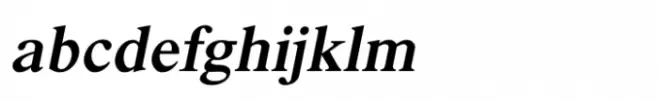 Shree Tamil  1303 Black Italic
