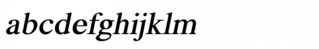Shree Tamil 1303 Bold Italic