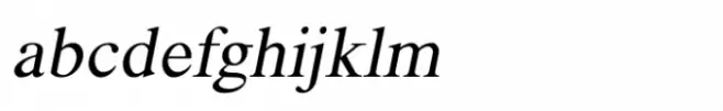 Shree Tamil 1303 Italic