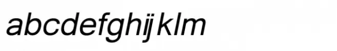 Shree Tamil 1367 Bold Italic