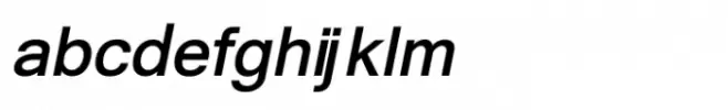 Shree Tamil  2821 Black Italic