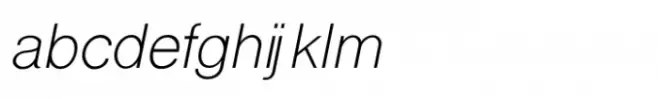 Shree Tamil  2821 Light Italic