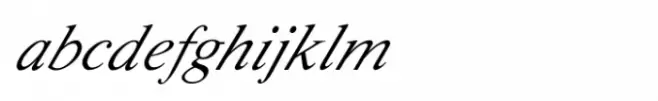 Shree Tamil 2899 Italic