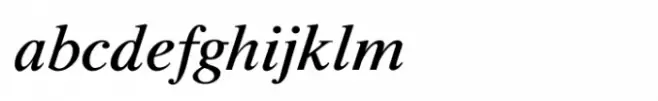 Shree Tamil 3931 Bold Italic