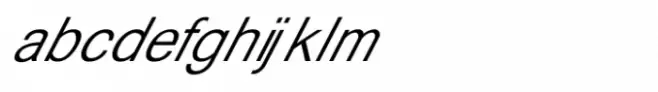 Shree Tamil 3953 Bold Italic