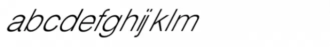 Shree Tamil 3953 Italic