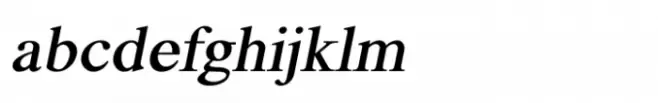 Shree Tamil  3960 Black Italic