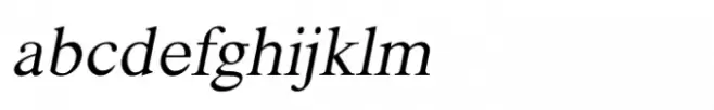 Shree Tamil 3960 Bold Italic