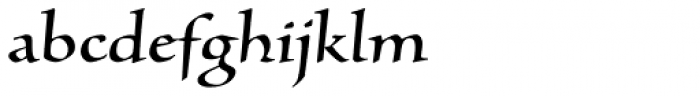 Silentium Pro Roman I
