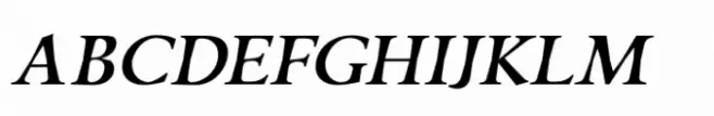 Silian Calligraphy Light Italic