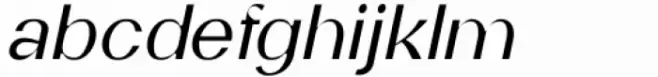 SK Gothenburg Thin Italic