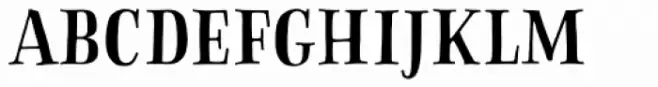 Sofa Serif Hand Regular Display