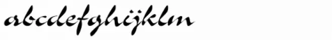 Soledad Pro