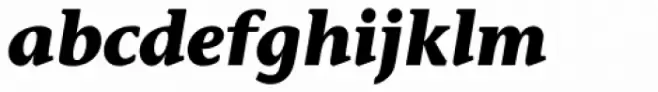 Stone Informal Std Bold Italic