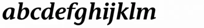Stone Informal Std SemiBold Italic