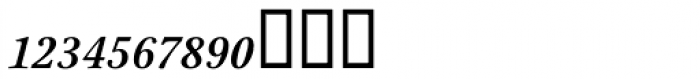 Stone Print Italic Fractions