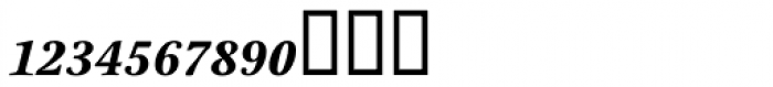 Stone Print SemiBold Italic Fractions
