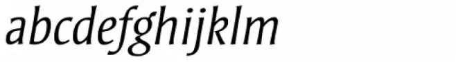 Strayhorn Std Light Italic