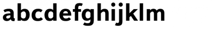Textbook New Bold