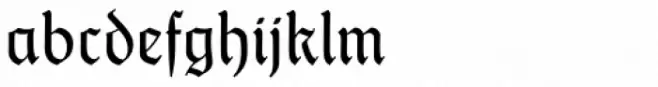 Thannhaeuser Fraktur