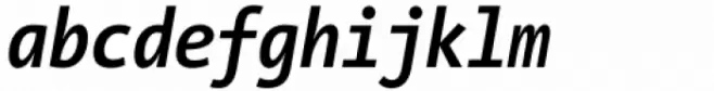 The Sans Mono Condensed Bold Italic