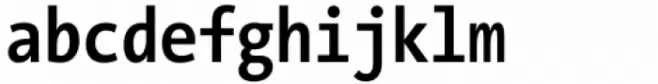 The Sans Mono Condensed Bold