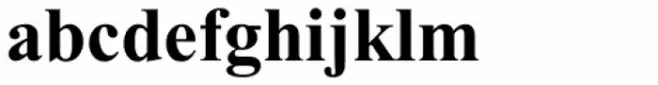 Times New Roman OS Bold